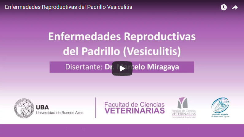 AAVE – Enfermedades Reproductivas del Padrillo (Vesiculitis)